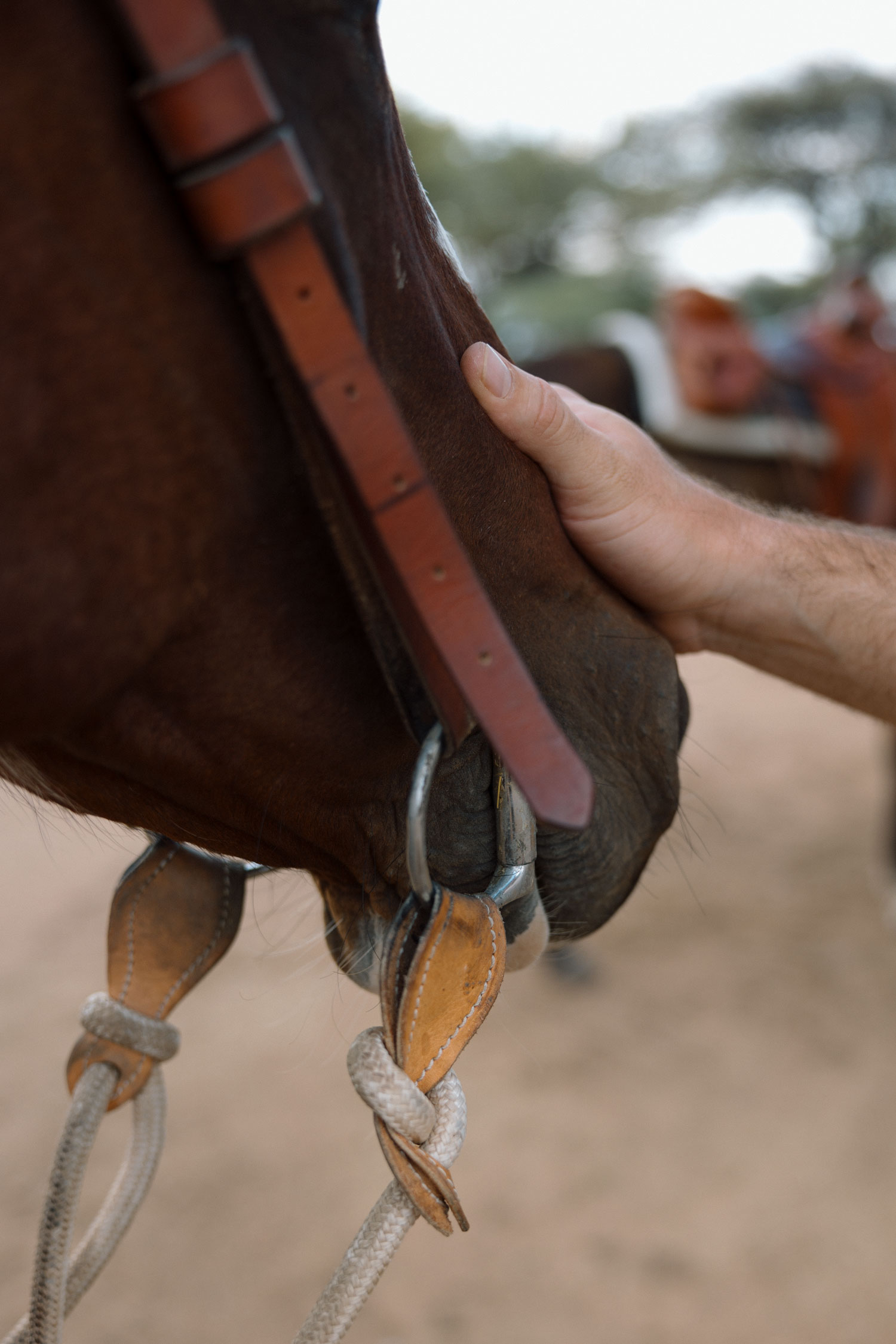 horseriding 4
