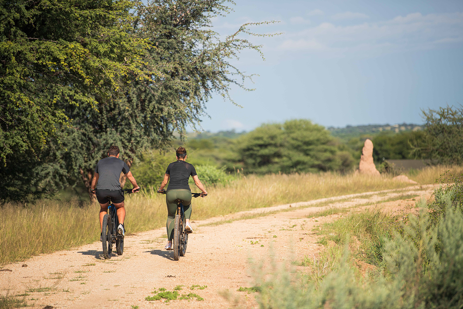 ebikes 6