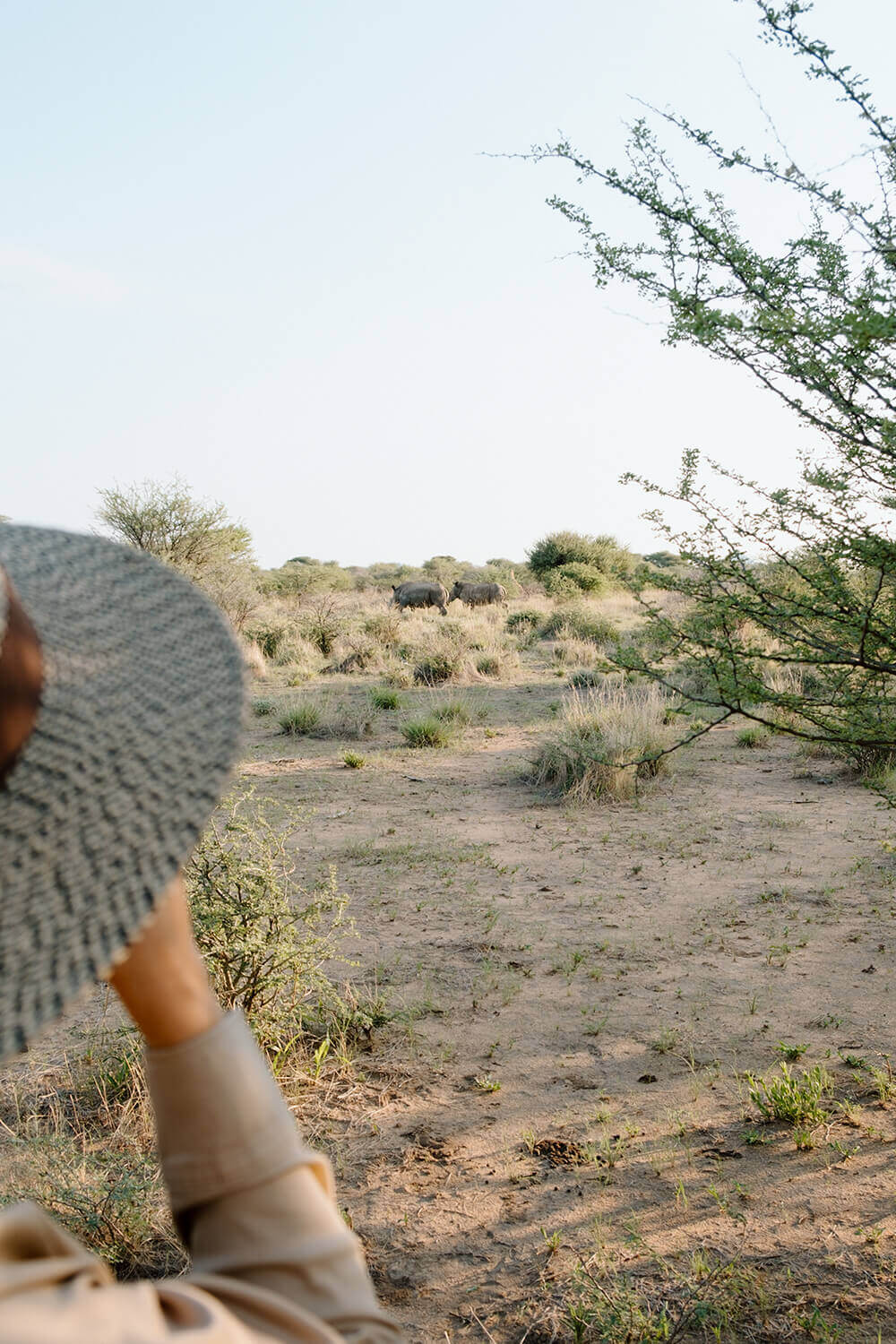Rhino Tracking 2