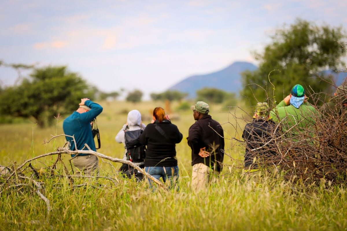 Rhino Tracking 5