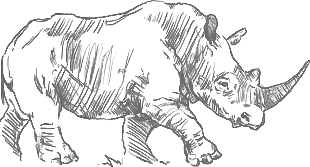Rhinoceros Image