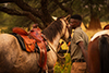 horseriding 4
