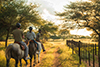 horseriding 5