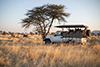 Sundowner 5